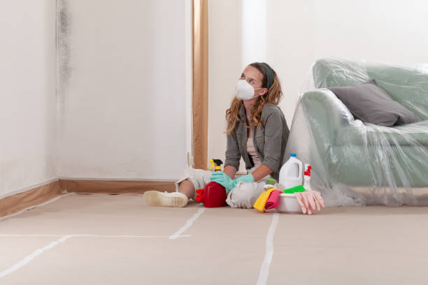 Reliable Mold Remediation contractor in Pomeroy, WA by 24 Hour Mold Removal